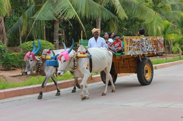 Agro Tourism