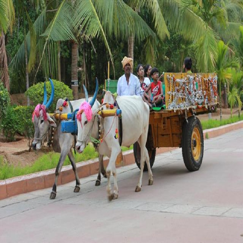 Agro Tourism