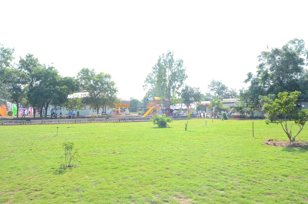 Activity 5